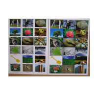 Английское лото "На прогулке" - «globural.ru» - Махачкала