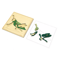 Строение кузнечика с контуром - «globural.ru» - Махачкала