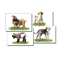 Набор карточек "Домашние животные" (раздаточные) - «globural.ru» - Махачкала