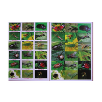 Английское лото "Насекомые" - «globural.ru» - Махачкала