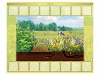 Магнитно-маркерный плакат "Луга" с набором магнитных карточек + методические рекомендации - «globural.ru» - Махачкала