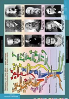 Биология. Введение в Экологию (комплект таблиц) - «globural.ru» - Махачкала