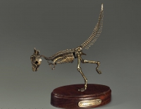 Модель скелета динозавра Pachycephalosaurus - «globural.ru» - Махачкала