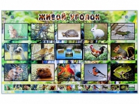 Комплект оборудования "Живой уголок" (животные) с тифлопереводом и сурдокомментариями - «globural.ru» - Махачкала