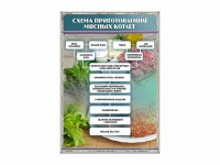 Стенд "Схема приготовления мясных котлет" - «globural.ru» - Махачкала