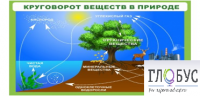 Стенд "Круговорот веществ" - «globural.ru» - Махачкала