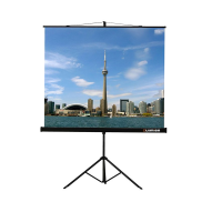 Проекционный экран на штативе Lumien Eco View (LEV-100105) 160x160 см - «globural.ru» - Махачкала