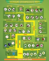 Стенд "Эволюция органического мира" - «globural.ru» - Махачкала