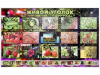 Комплект оборудования "Живой уголок" (растения) с тифлопереводом и сурдокомментариями - «globural.ru» - Махачкала