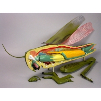 Модель "Кузнечик" - «globural.ru» - Махачкала