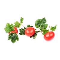 Ветка муляжей "Помидоры" - «globural.ru» - Махачкала