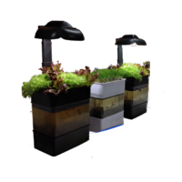 Учебная установка "Аквапоника"  - «globural.ru» - Махачкала