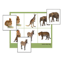 Лото "Дикие животные" (4 планшета, 24 карточки, цветное, ламинированное) - «globural.ru» - Махачкала
