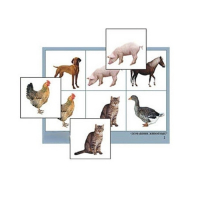 Лото "Домашние животные" (4 планшета, 24 карточки, цветное, ламинированное) - «globural.ru» - Махачкала