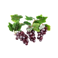 Ветка муляжей "Виноград" - «globural.ru» - Махачкала