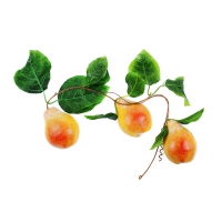 Муляж "Ветка груши" - «globural.ru» - Махачкала