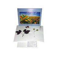 Гербарий Сельскохозяйственные растения (28 видов) - «globural.ru» - Махачкала