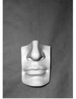 Губы с носом Давида - «globural.ru» - Махачкала