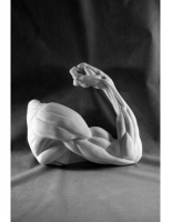 Рука, согнутая в локте - «globural.ru» - Махачкала