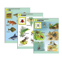 Комплект таблиц для начальной школы "Окружающий мир. Животный мир" - «globural.ru» - Махачкала