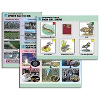 Комплект таблиц для  начальной школы "Окружающий мир. Экология" - «globural.ru» - Махачкала