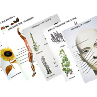 Таблицы по природоведению 1-3 класс - «globural.ru» - Махачкала