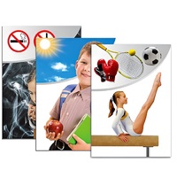 Модель-аппликация "Здоровье человека" - «globural.ru» - Махачкала