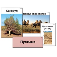 Модель-аппликация "Природные зоны России" - «globural.ru» - Махачкала