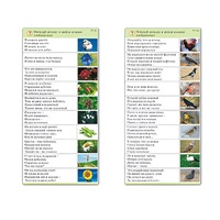 Комплект карточек (10) "Обучающий калейдоскоп. Природа" - «globural.ru» - Махачкала