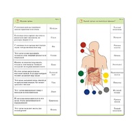 Комплект карточек (10) "Обучающий калейдоскоп. Человек" - «globural.ru» - Махачкала