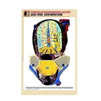 Рельефная таблица "Долька печени. Макро-микростроение" (формат А1, матовое ламинир.) - «globural.ru» - Махачкала