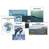 Модель-аппликация "Океаны. Знакомство" (ламинированная) - «globural.ru» - Махачкала