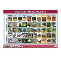 Таблица демонстрационная "Почвы, растения и животные природных зон" (винил 70x100) - «globural.ru» - Махачкала