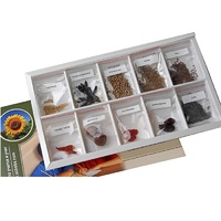 Коллекция "Плоды сельскохозяйственных растений" (вариант 2) - «globural.ru» - Махачкала