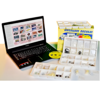 Коллекция натурально-интерактивная "Пластмассы" - «globural.ru» - Махачкала