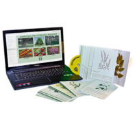 Гербарий натурально-интерактивный "Лекарственные растения" - «globural.ru» - Махачкала