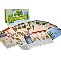 Гербарий к курсу основ общей биологии - «globural.ru» - Махачкала