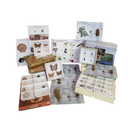 Комплект коллекций демонстрационный - «globural.ru» - Махачкала