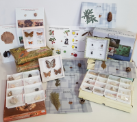 Комплект коллекций демонстрационный (по разным темам курса биологии) - «globural.ru» - Махачкала