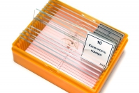 Набор микропрепаратов N10 - «globural.ru» - Махачкала