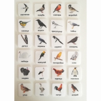 Набор карточек "ПТИЦЫ" - «globural.ru» - Махачкала