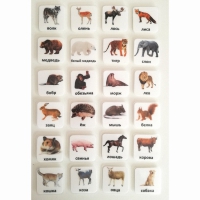 Набор карточек "ЖИВОТНЫЕ" - «globural.ru» - Махачкала