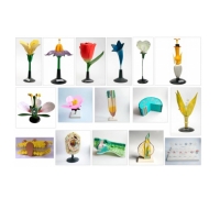 Комплект ботанических моделей демонстрационный - «globural.ru» - Махачкала