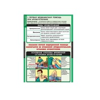 ОБЖ Правила оказания первой медицинской помощи (комплект таблиц) - «globural.ru» - Махачкала