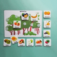 Пособие "Овощи и фрукты" - «globural.ru» - Махачкала