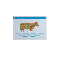 Стенд-планшет светодинамический "Изучение нервной системы сельскохозяйственных животных" со сменными панелями - «globural.ru» - Махачкала