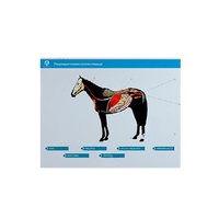 Стенд-планшет светодинамический "Изучение пищеварительной системы сельскохозяйственных животных" со сменными панелями - «globural.ru» - Махачкала