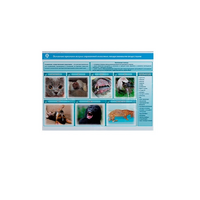 Стенд-планшет светодинамический «Острые отравления животных лекарственными препаратами» - «globural.ru» - Махачкала