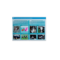 Стенд-планшет светодинамический «Изучение асептических и гнойных воспалительных процессов» - «globural.ru» - Махачкала