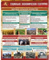 Стенд "Социально-экономическая география. Сельское хозяйство" - «globural.ru» - Махачкала